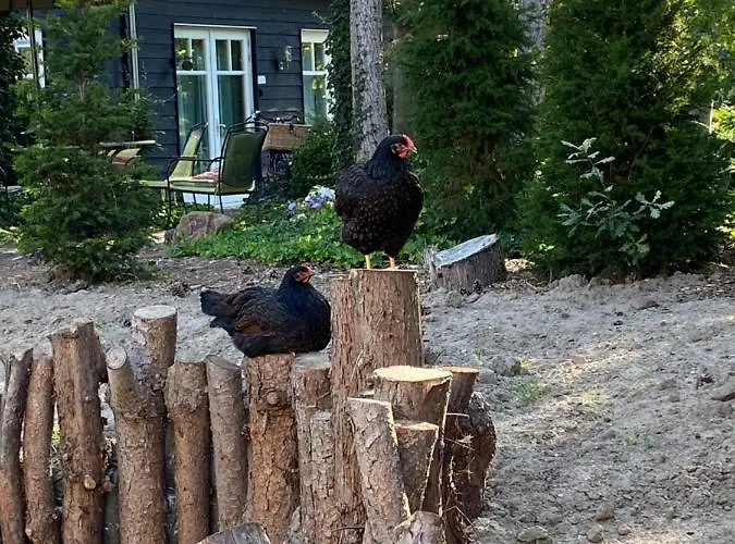 Schuringse Klasse Semesterbostad *