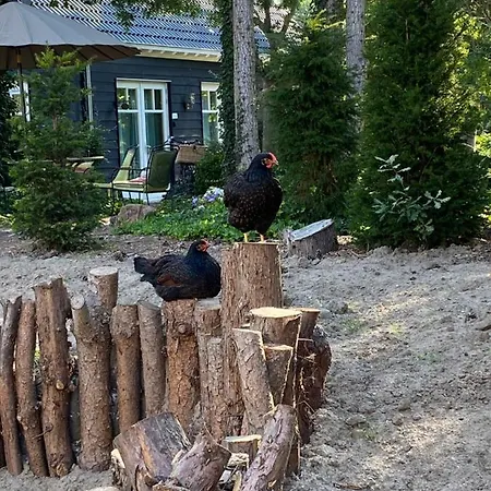 Schuringse Klasse Vakantiehuis *